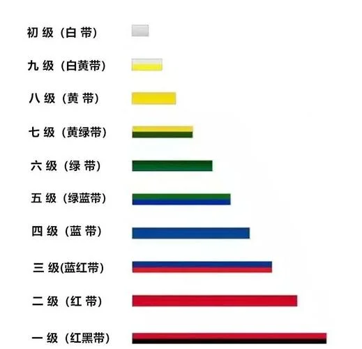 跆拳道理论知识大全_2