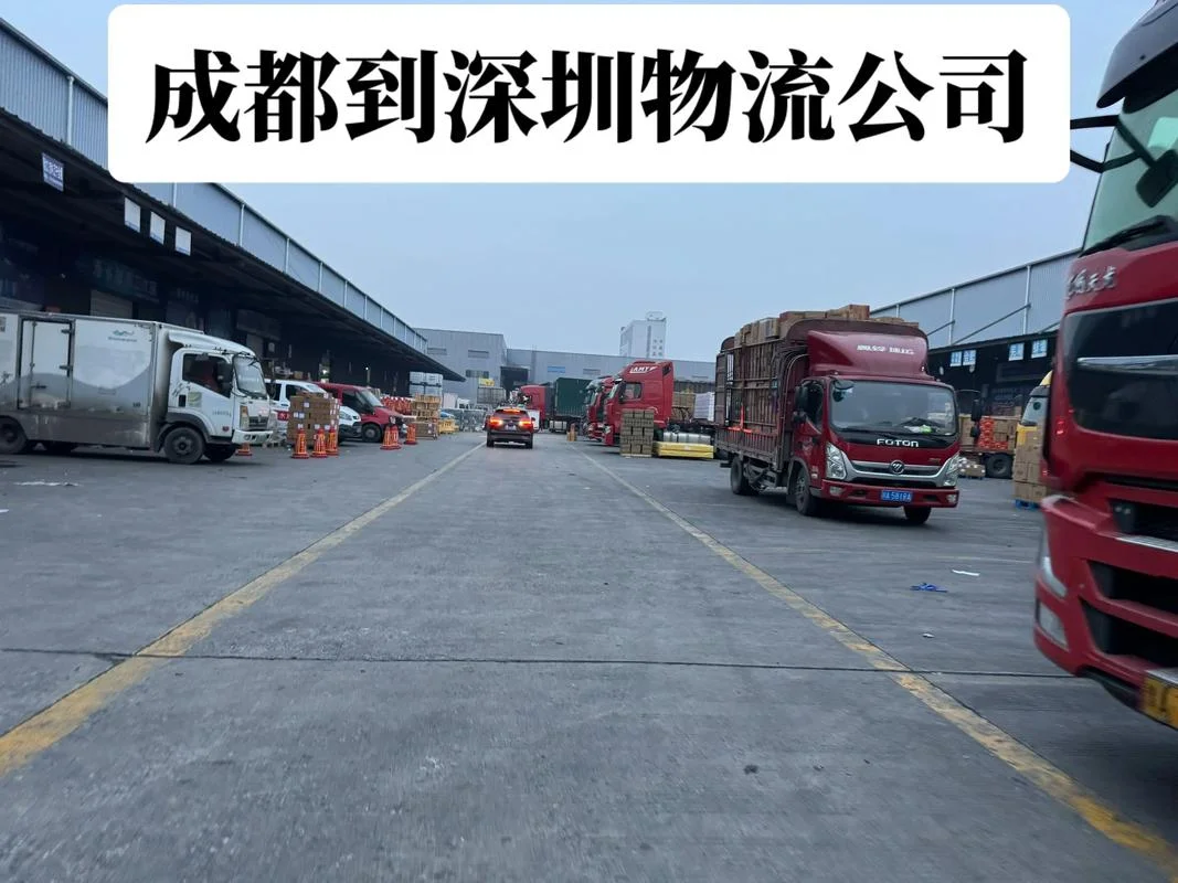 东莞运输公司哪家好-东莞运输公司优选