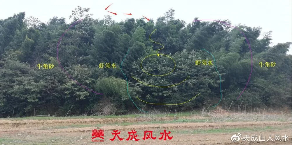 风水仓库是指什么_2