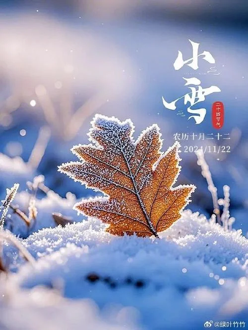 梦见下小雪是什么意思_1