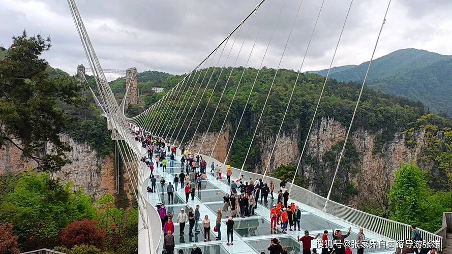 攻略张家界大峡谷旅游-张家界大峡谷游玩指南