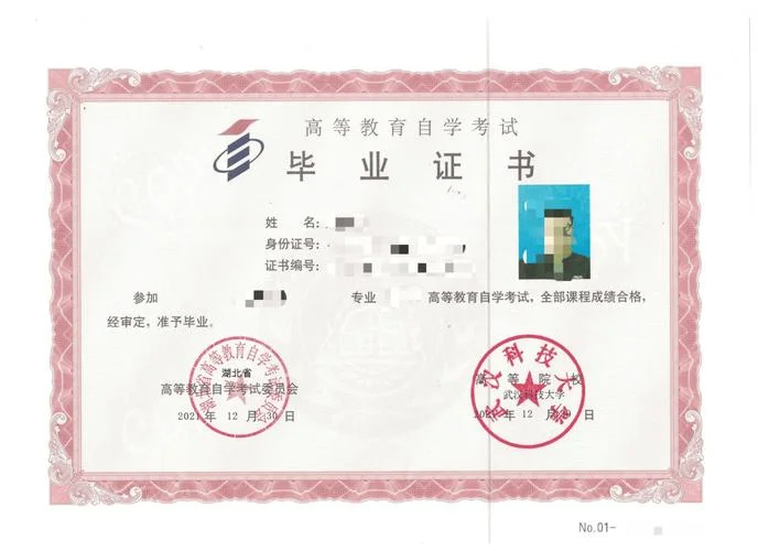 毕业证书报告编号怎么查_1