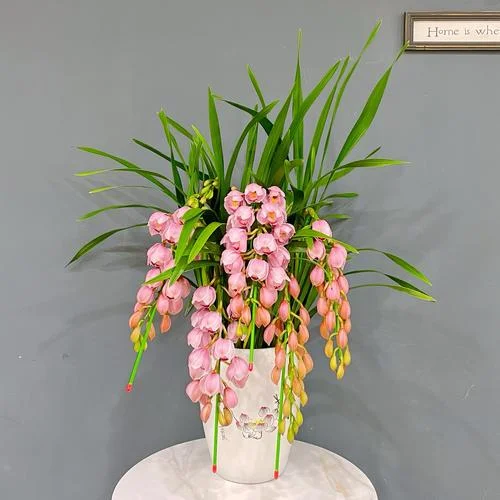 春节送什么花为佳寓意-春节送花寓意好