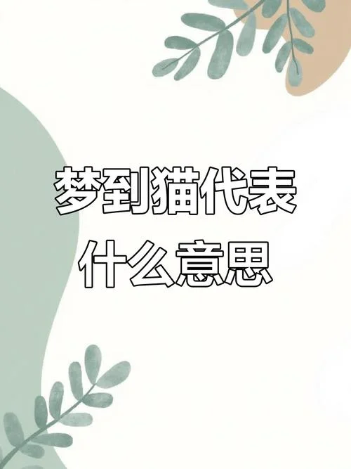 梦到小猫生崽是什么意思_1