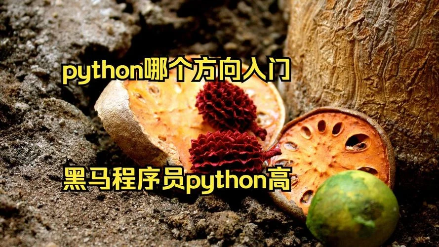 黑马程序员在哪学-黑马程序员学习指南