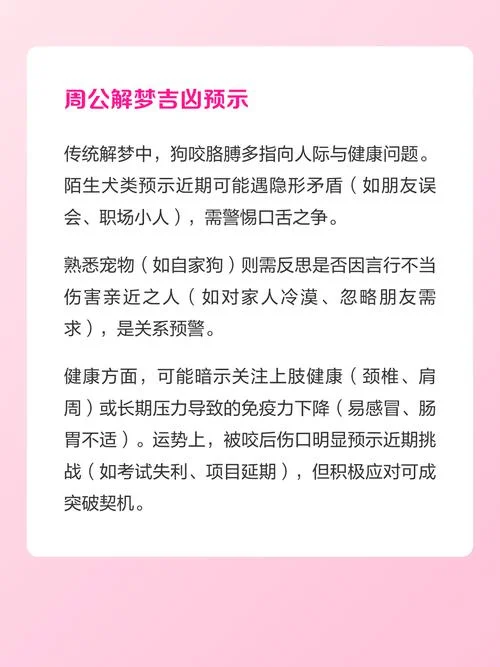 做梦梦见被别人家狗咬_2