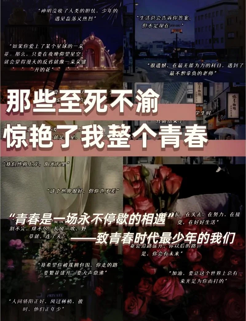 青春不悔 下一句_1