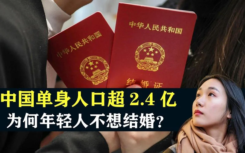 中国未婚人口简介-中国未婚人口简介