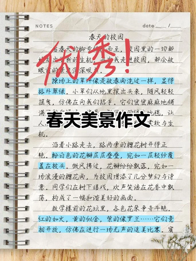 春天的叶子作文怎么写_1
