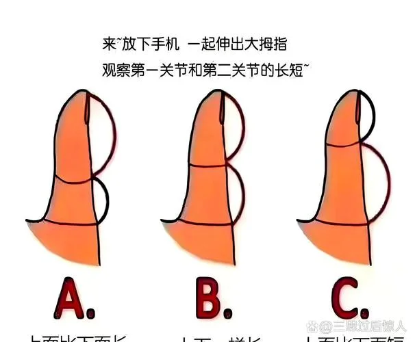 手指像锥子手相_1