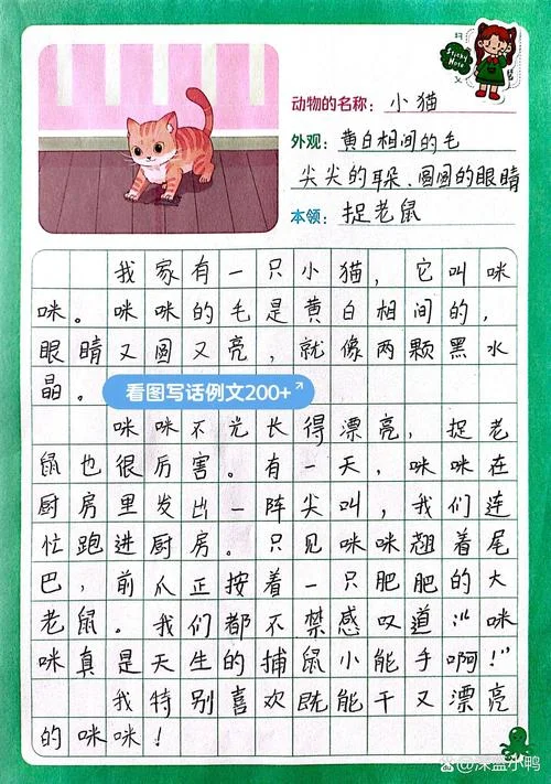 小猫的自述说明文-小猫自述说明文