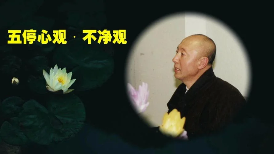 五停心观出自哪一部经_2