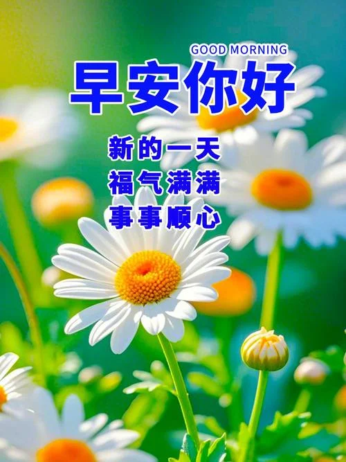 温馨的早安祝福语_1