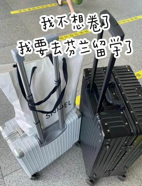 高中学历去芬兰留学-高中学历去芬兰留学
