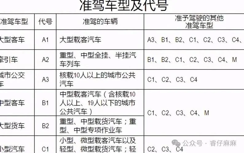 c1增a1驾照报考条件_2
