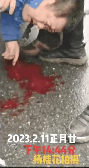 梦见别人口吐鲜血而亡-见他人吐血身亡