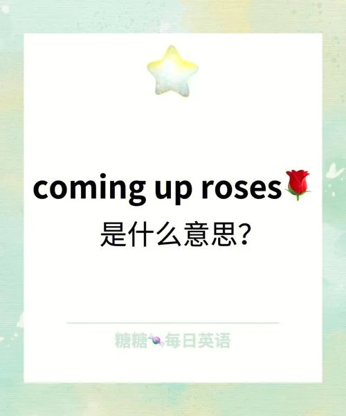 shortcomings用英语怎么说-shortcomings 英语表达