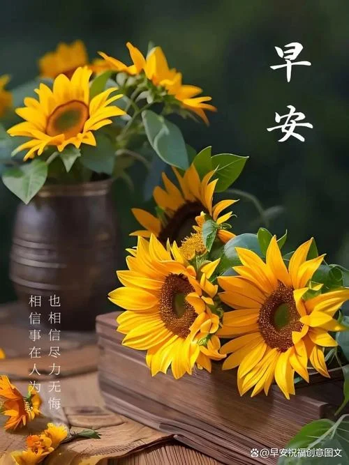 微商早安大道理语录-微商早安大道理语录