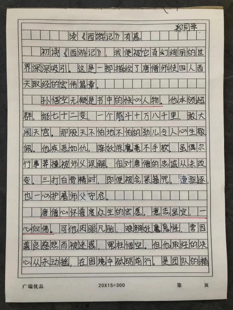 西游记的读后感想30字_1