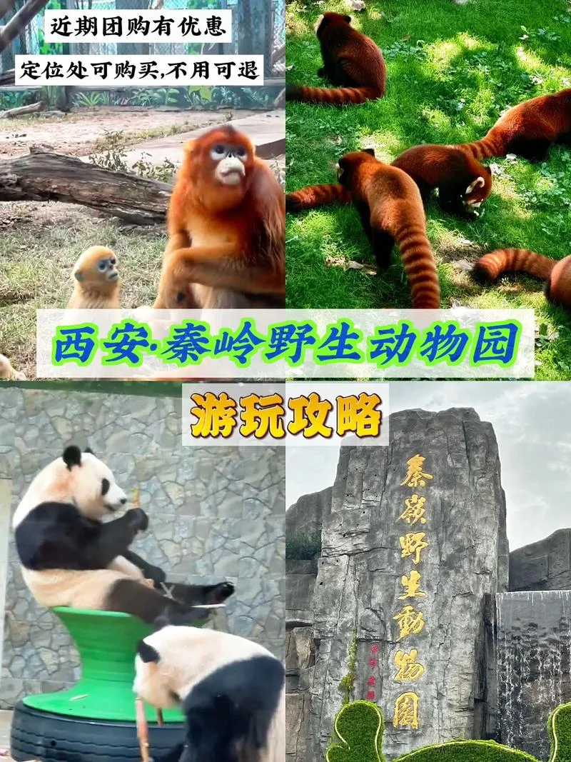 西安旅游团购网二日游_1