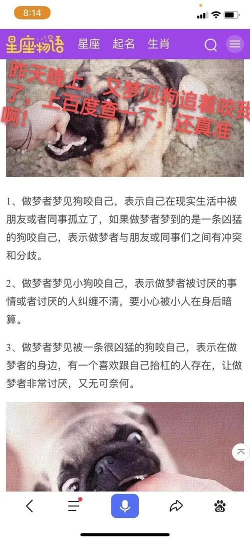 梦见狗快饿死了-梦濒死之犬