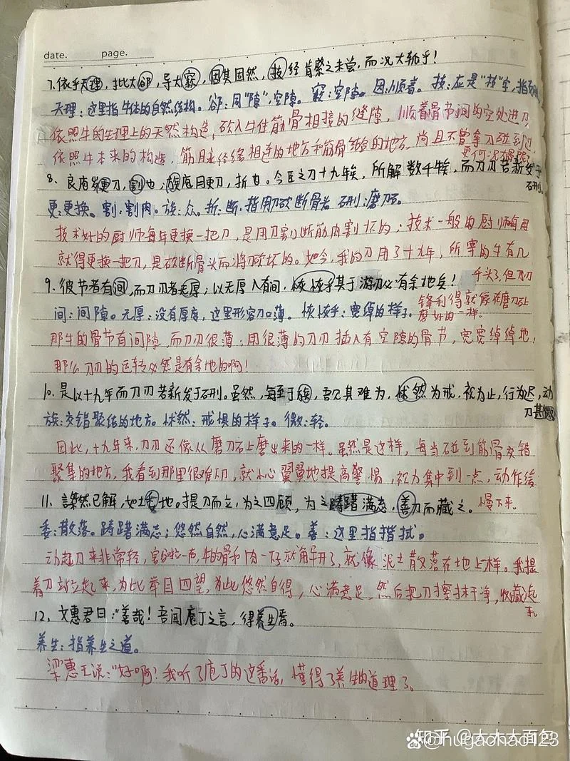 庖丁解牛读后感悟_2