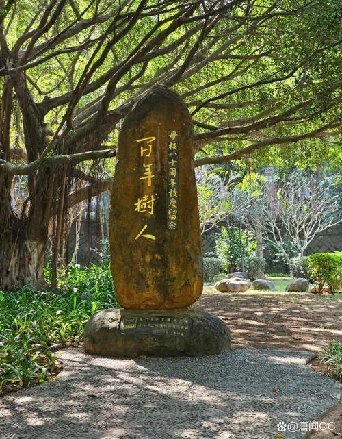厦门大学历史最好排名_2