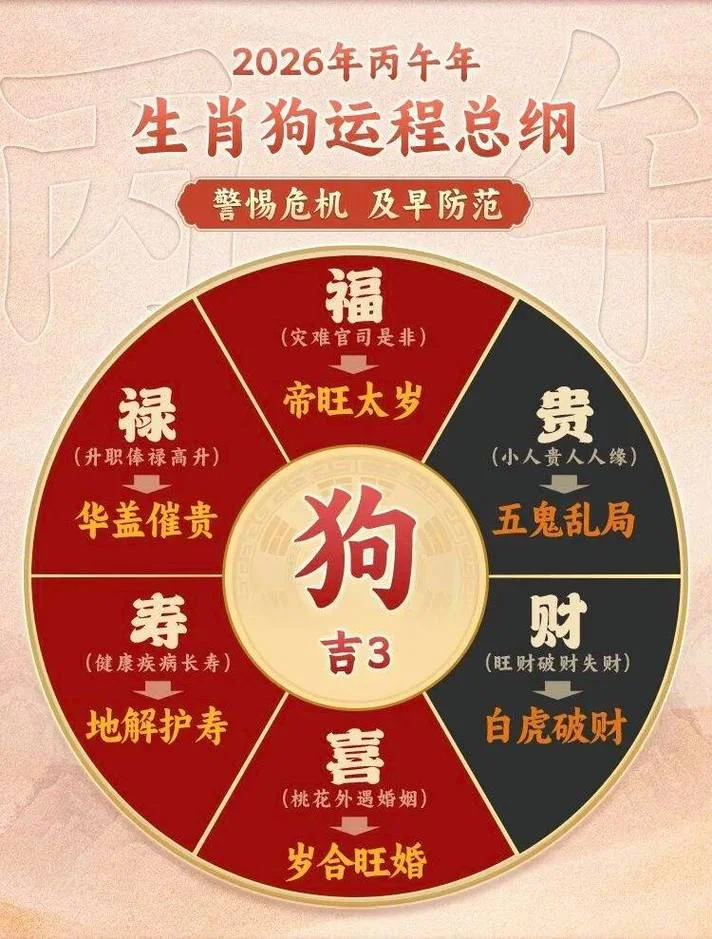 属狗人如何增加运势_1