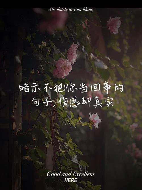 伤感的生活感悟的句子_1