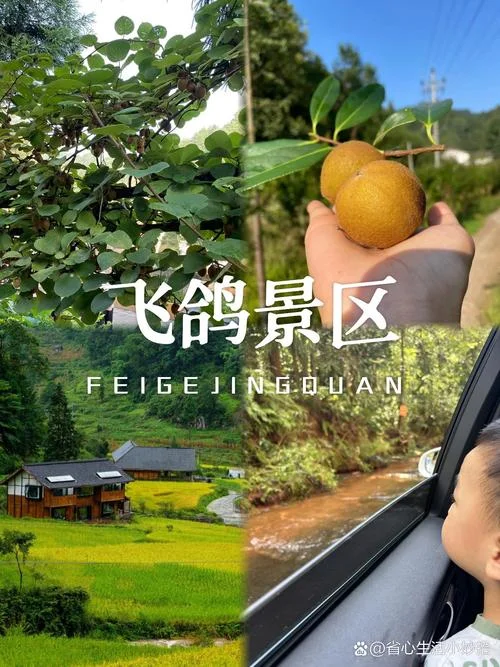 遵义一日游旅游路线_1