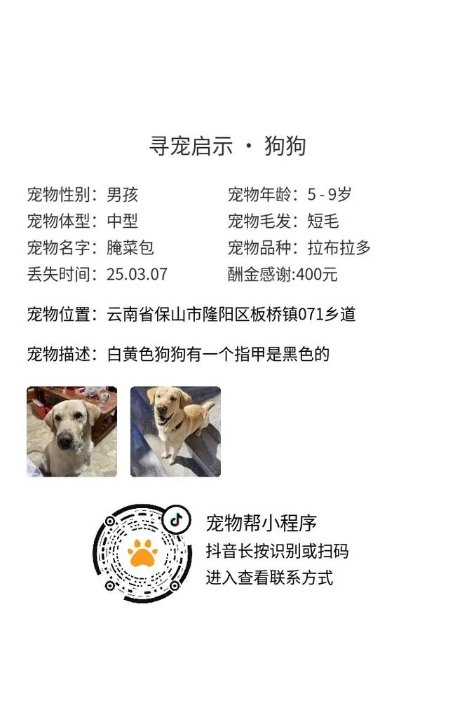 宠物美容师报名费用_1