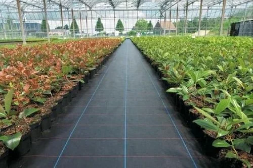 防草布多少钱一平方_1