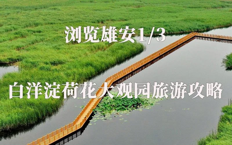 白洋淀景点讲解词_1