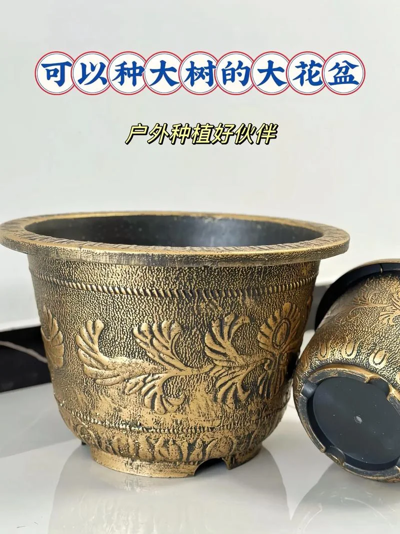花盆买什么材质的好_1