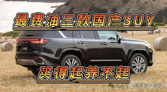 suv车多少钱一公里省油_1