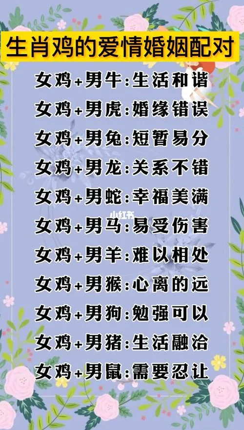 男鸡女猪属相相配吗_2