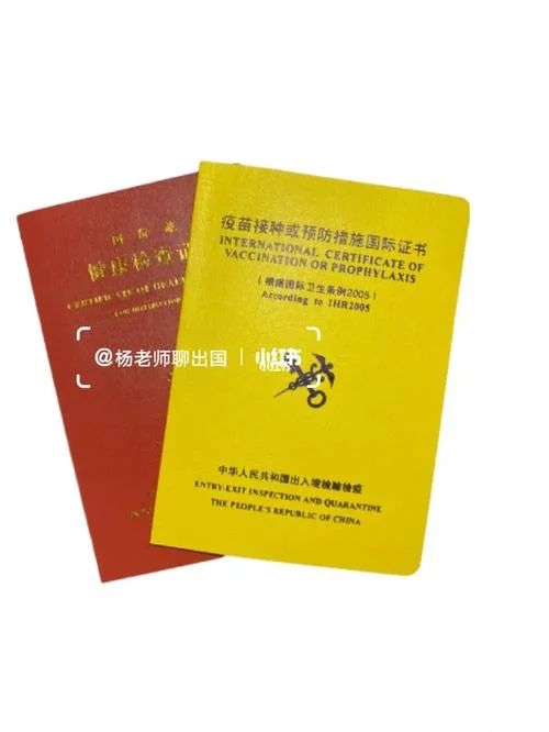 出国留学要的健康证明_1