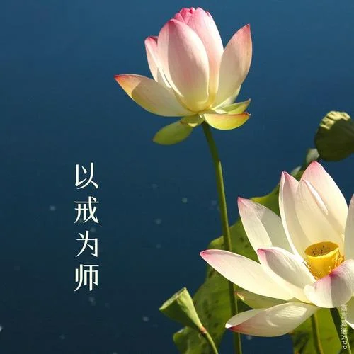梦到了和尚是什么意思_2