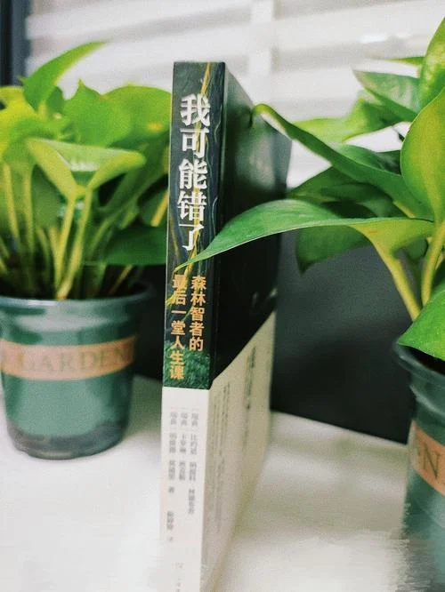 入世与出世的感悟_1