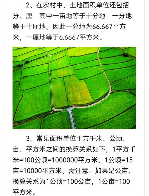 37公顷等于多少亩_2