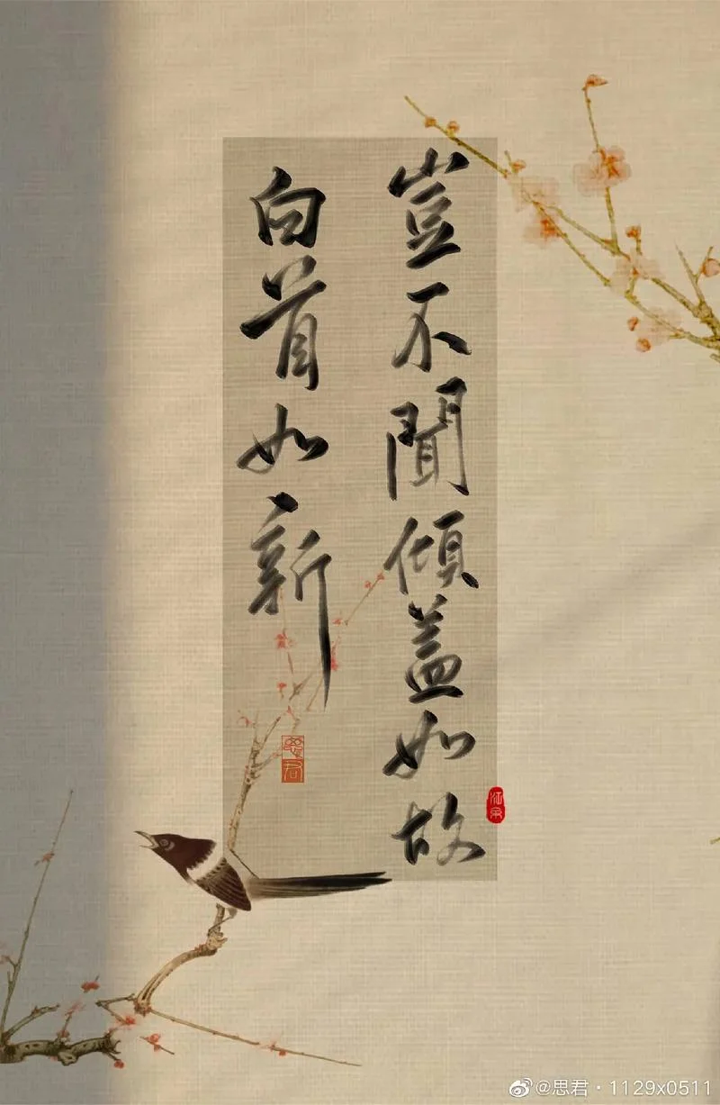 白首如新倾盖如故出自哪里_1