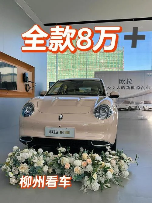好猫欧拉什么品牌-好猫欧拉品牌