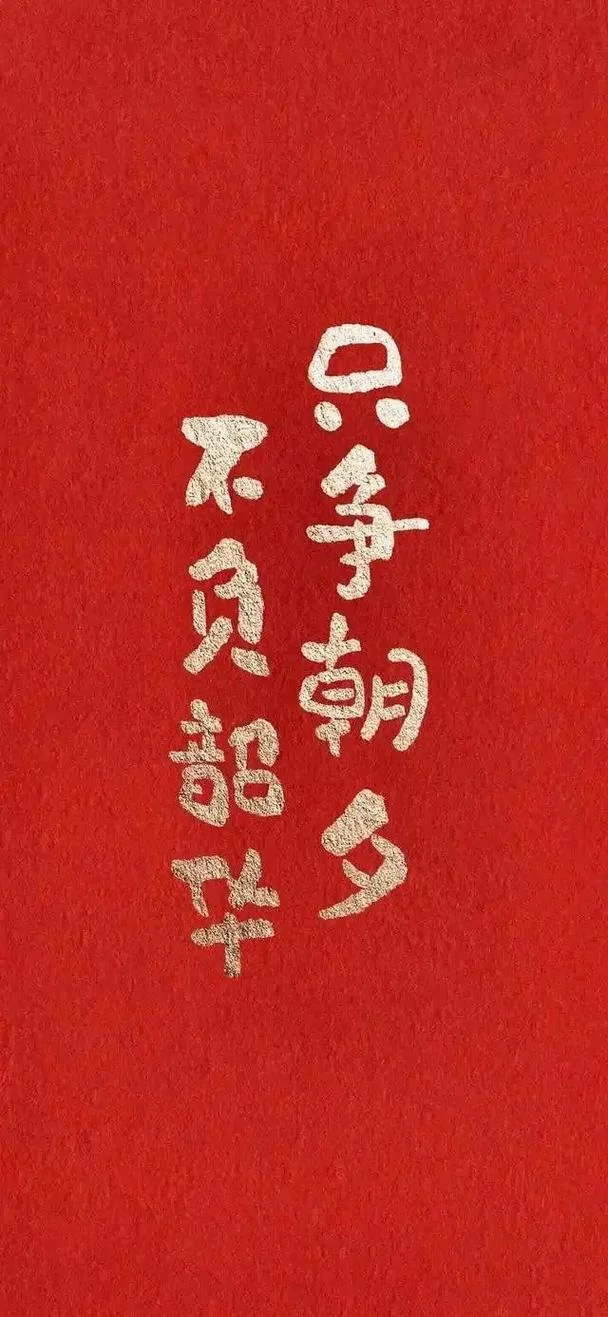 不负韶华的出处-不负韶华出处