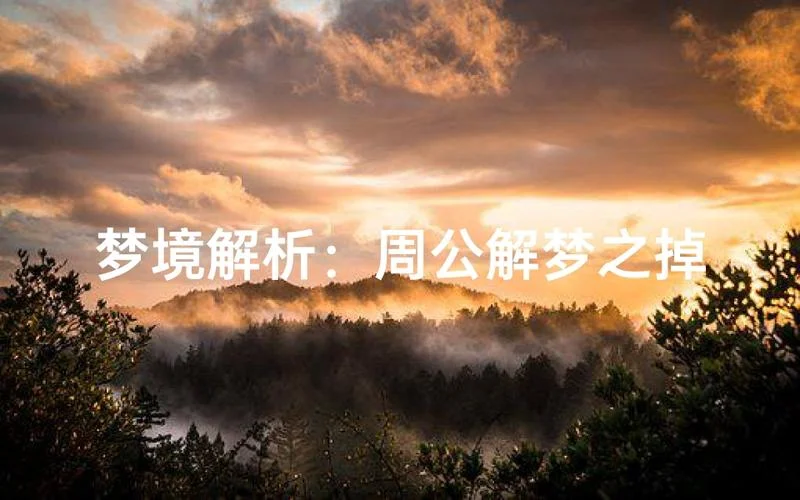 周公解梦之梦见粪坑_1