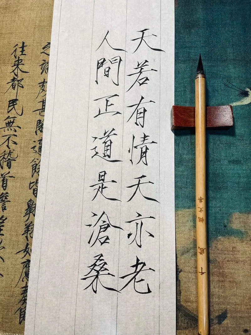 人间正道是沧桑谁写的_2