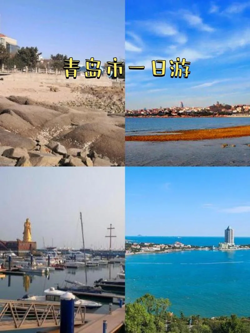 青岛旅游1日游_1
