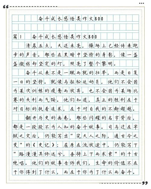 奋斗的文章和感悟_1