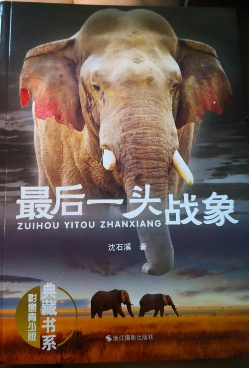 读最后一头战象的感悟_2