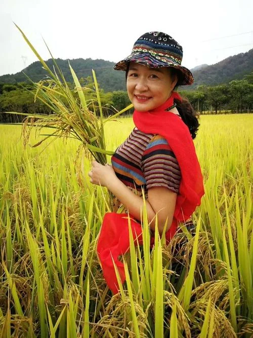 若水依蓝是什么意思_1