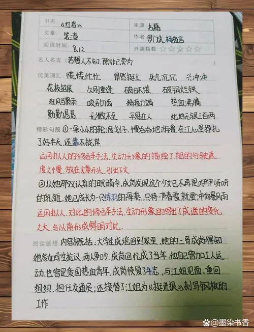 红岩每章内容感悟_1